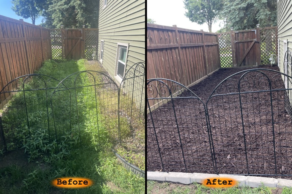 Before and after of a side yard cleared and covered in mulch